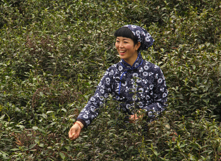 免费在线观看2